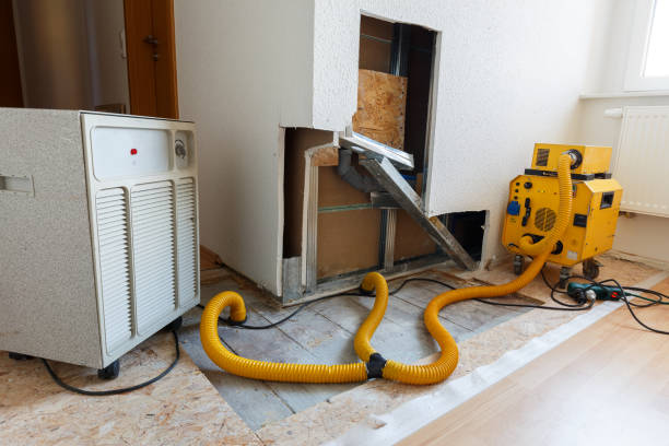 Best Attic Mold Removal  in Yorktown Heights, NY