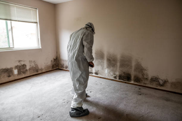 Best Mold Remediation for Vacation Homes  in Yorktown Heights, NY